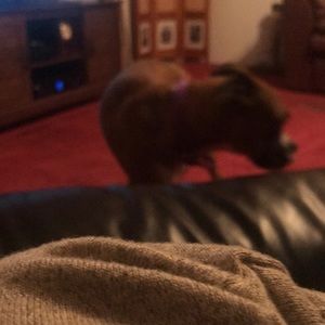 Meet your Posher, Denise